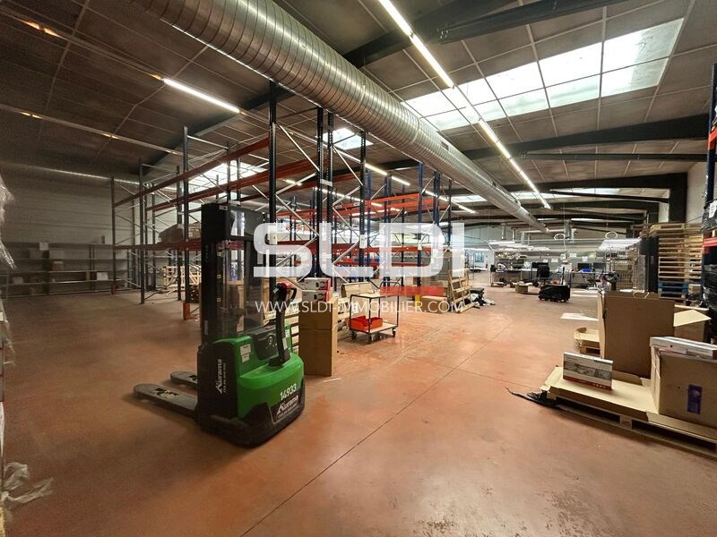 Locaux d'activités A LOUER - CHAMPAGNE AU MONT D'OR - 1 735 m²