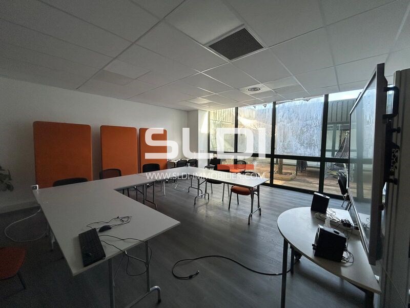 Locaux d'activités A LOUER - CHAMPAGNE AU MONT D'OR - 1 735 m²