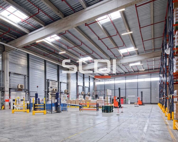 Locaux d'activités A LOUER - MIONS - 25 946 m²