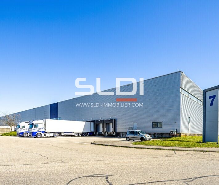 Locaux d'activités A LOUER - MIONS - 25 946 m²