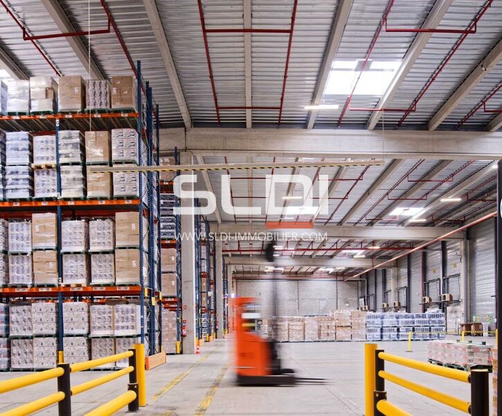 Locaux d'activités A LOUER - MIONS - 25 946 m²