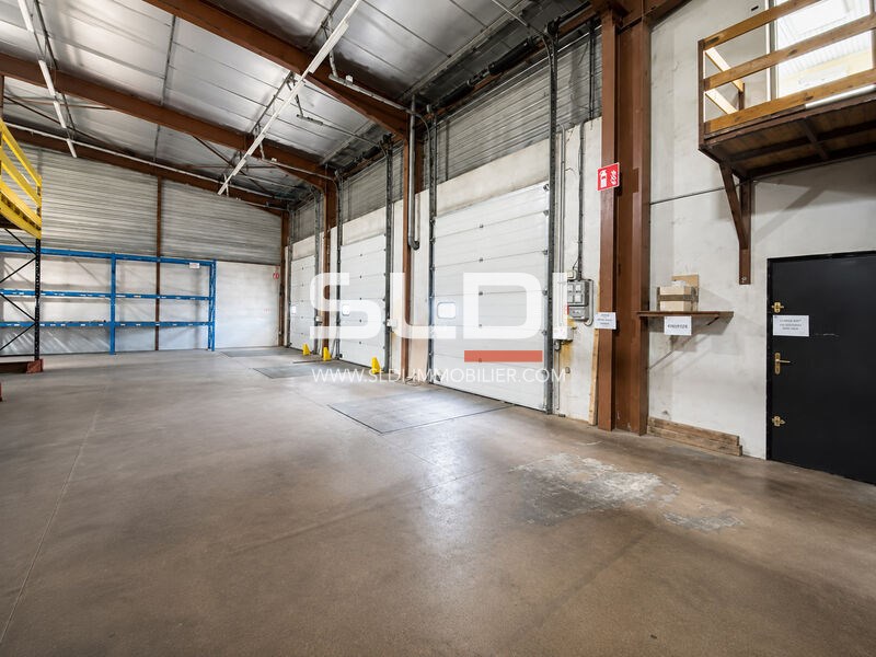 Locaux d'activités A VENDRE OU A LOUER - SAINT GEORGES D'ESPERANCHE - 6 035 m²