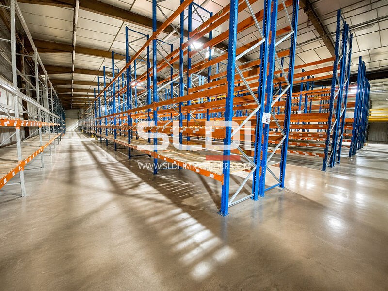 Locaux d'activités A VENDRE OU A LOUER - SAINT GEORGES D'ESPERANCHE - 6 035 m²