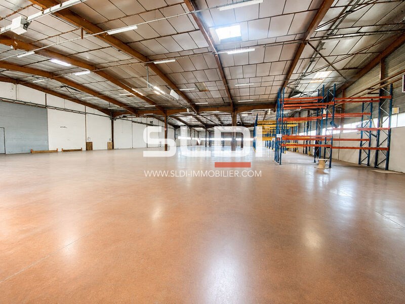 Locaux d'activités A VENDRE OU A LOUER - SAINT GEORGES D'ESPERANCHE - 6 035 m²