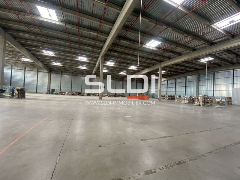 Locaux d'activités A LOUER - MIONS - 7 933 m²