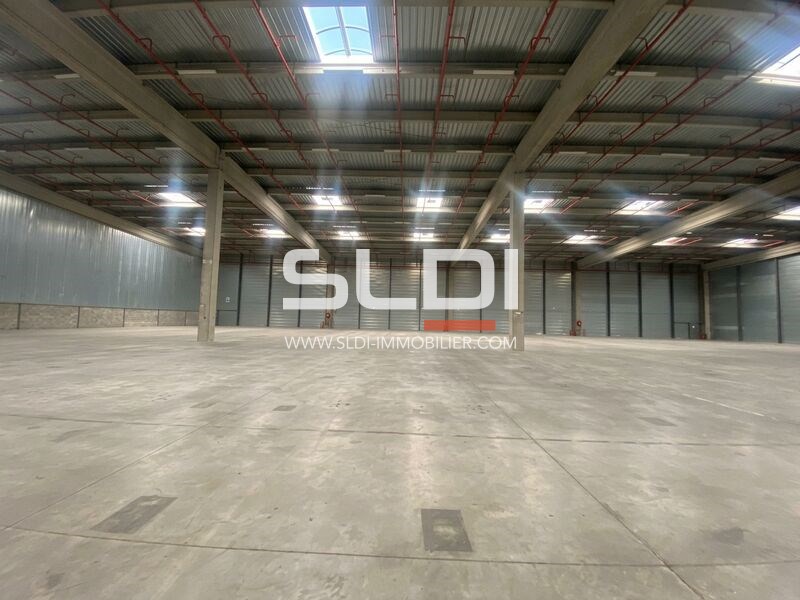 Locaux d'activités A LOUER - MIONS - 7 933 m²