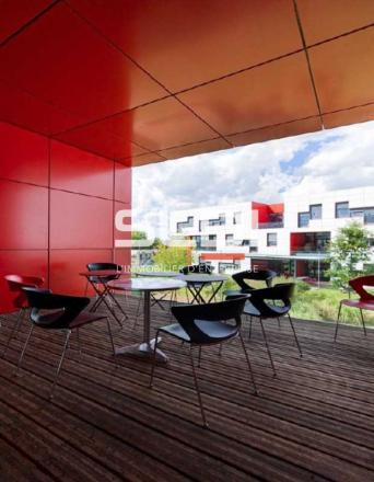 Bureaux A LOUER - DARDILLY - 402 m²