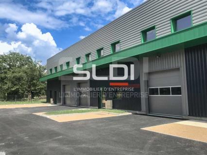 Activités A LOUER - TIGNIEU JAMEYZIEU - 230 m²