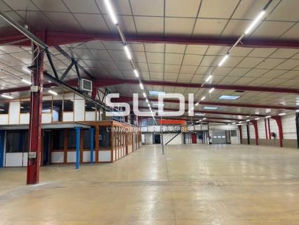 Activités A VENDRE OU A LOUER - RILLIEUX LA PAPE - 3 200 m²