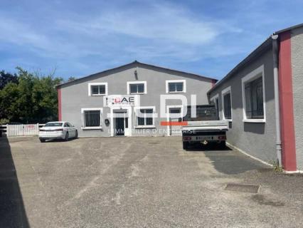 Bureaux A LOUER - VILLEURBANNE - 150 m² Bureaux A LOUER - VILLEURBANNE - 150 m²