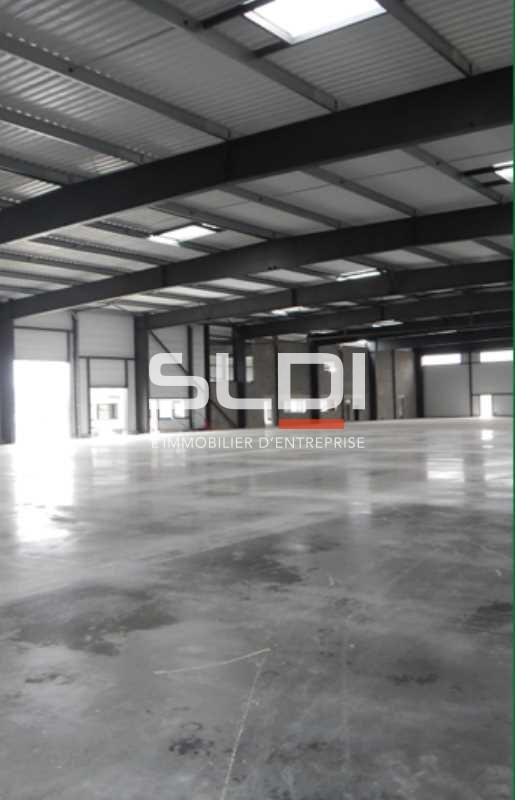 Activités A VENDRE OU A LOUER - MILLERY - 4 302 m²