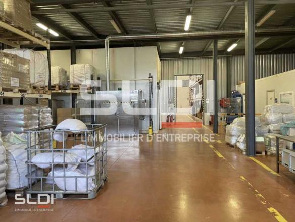 Activités A VENDRE - LOZANNE - 4 600 m²