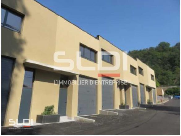 Activités A LOUER - FLEURIEU SUR SAONE - 1 414 m²