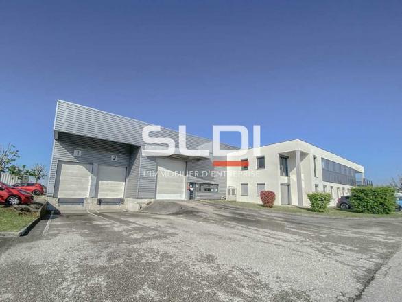 Bureaux A LOUER - VILLEURBANNE - 291 m²