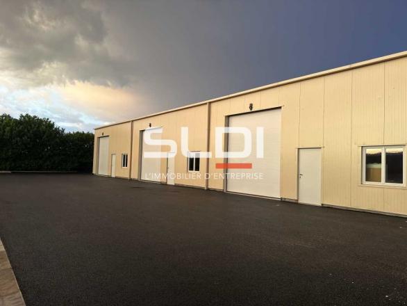 Bureaux A LOUER - VILLEURBANNE - 1 375 m²