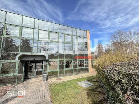 Bureaux A LOUER - LIMONEST - 826 m²