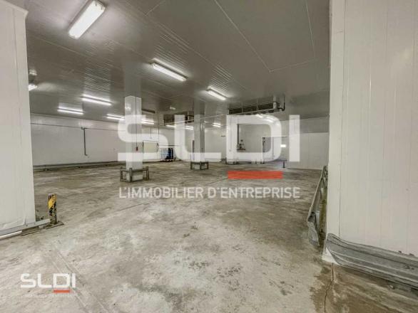 Activités A LOUER - SAINT SYMPHORIEN D'OZON - 1 500 m²