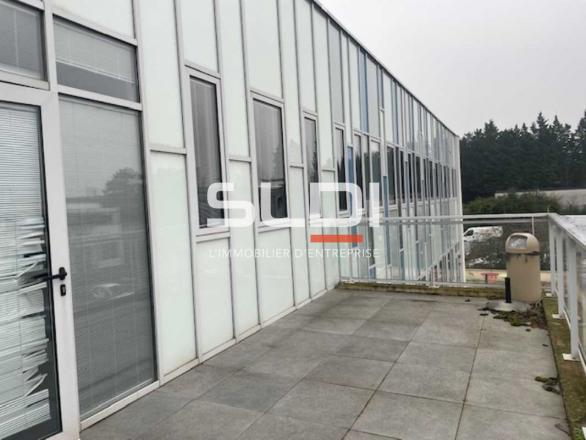 Bureaux A LOUER - RILLIEUX LA PAPE - 600 m²