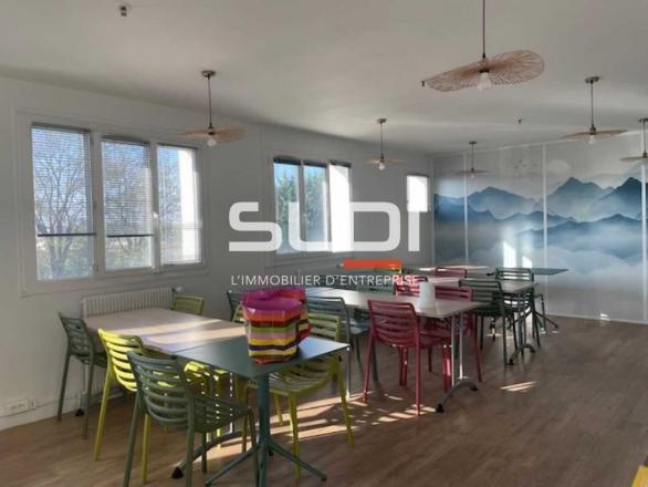 Activités A VENDRE - MEYZIEU - 4 400 m²