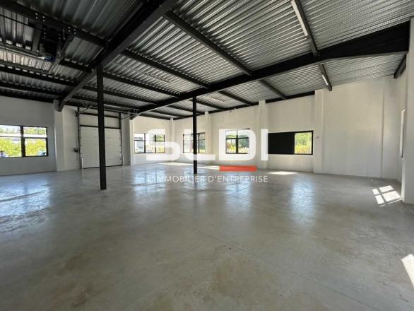 Activités A LOUER - DARDILLY - 5 560 m²