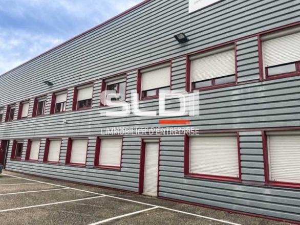 Bureaux A LOUER - CALUIRE ET CUIRE - 85 m²