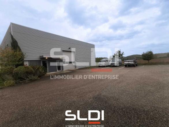 Activités A LOUER - LUZINAY - 481 m²