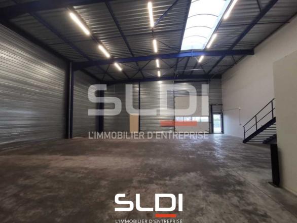 Activités A VENDRE - LUZINAY - 498 m²