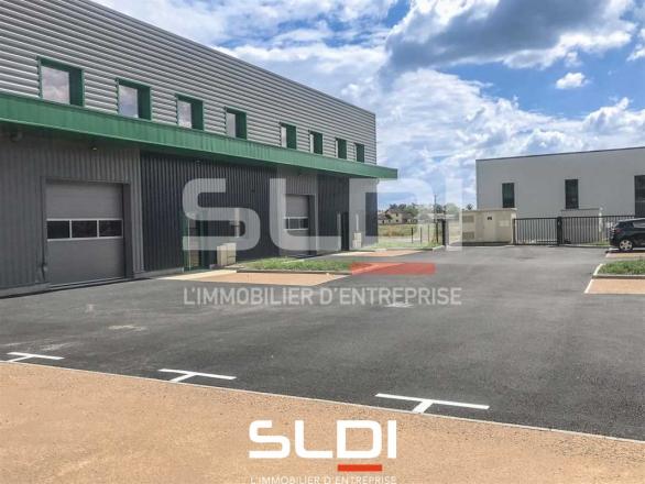 Activités A LOUER - TIGNIEU JAMEYZIEU - 230 m²