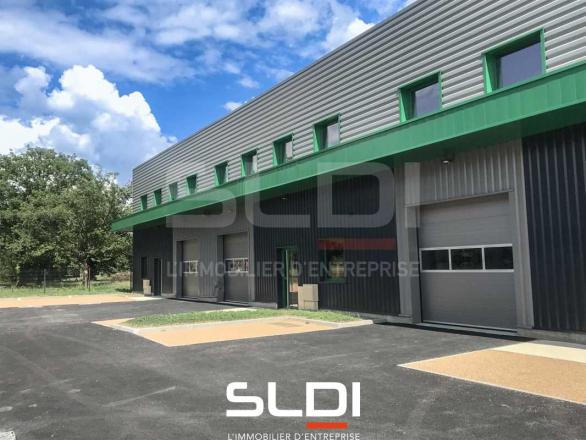 Activités A LOUER - TIGNIEU JAMEYZIEU - 230 m²