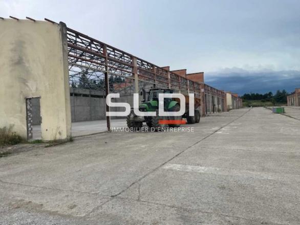 Activités A LOUER - RILLIEUX LA PAPE - 8 567 m²