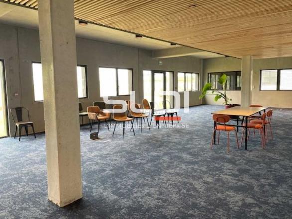 Bureaux A LOUER - RILLIEUX LA PAPE - 366 m²