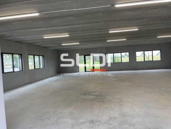 Activités A LOUER - RILLIEUX LA PAPE - 532 m²
