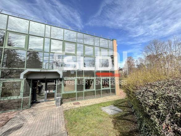 Bureaux A LOUER - LIMONEST - 75 m²