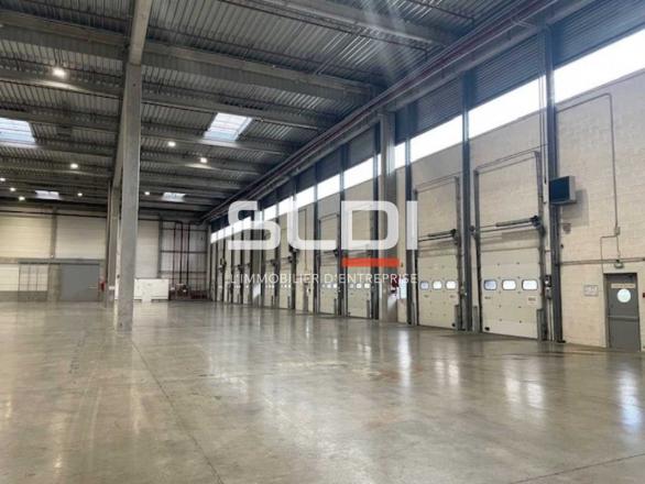 Entrepôts/Messagerie A LOUER - SAINT QUENTIN FALLAVIER - 8 653 m²