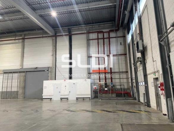 Entrepôts/Messagerie A LOUER - SAINT QUENTIN FALLAVIER - 8 653 m²