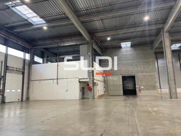 Entrepôts/Messagerie A LOUER - SAINT QUENTIN FALLAVIER - 8 653 m²