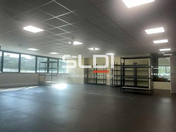 Activités A LOUER - CHAMPAGNE AU MONT D'OR - 1 448 m²