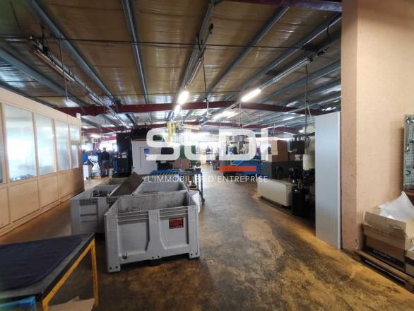 Activités A LOUER - SEMONS - 1 000 m²