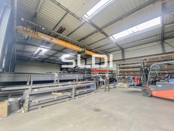 Activités A LOUER - DAGNEUX - 614 m²
