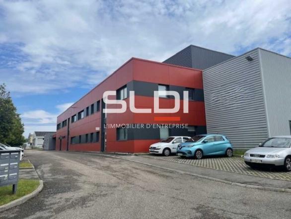 Activités A LOUER - RILLIEUX LA PAPE - 256 m²
