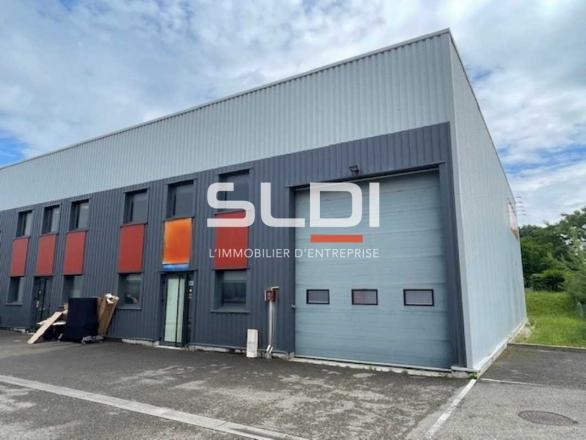 Activités A LOUER - RILLIEUX LA PAPE - 256 m²