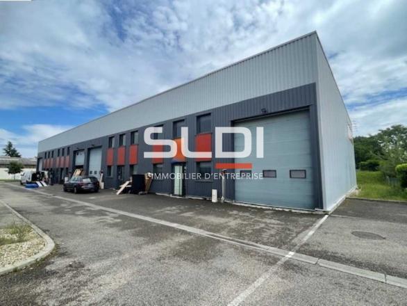 Activités A LOUER - RILLIEUX LA PAPE - 256 m²