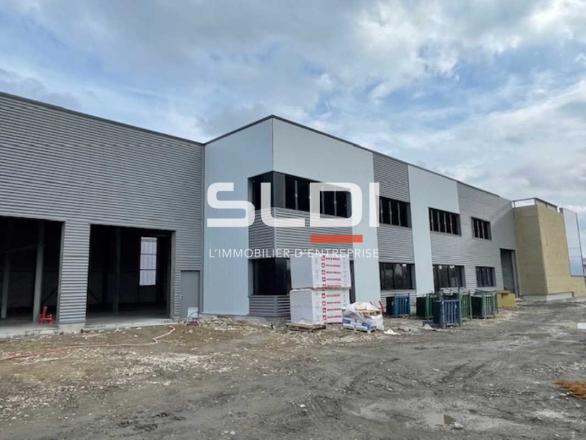 Activités A LOUER - OULLINS-PIERRE-BÉNITE - 676 m²