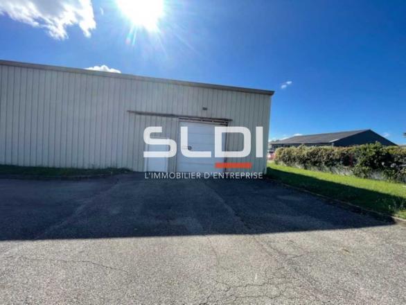 Activités A LOUER - BEYNOST - 260 m²