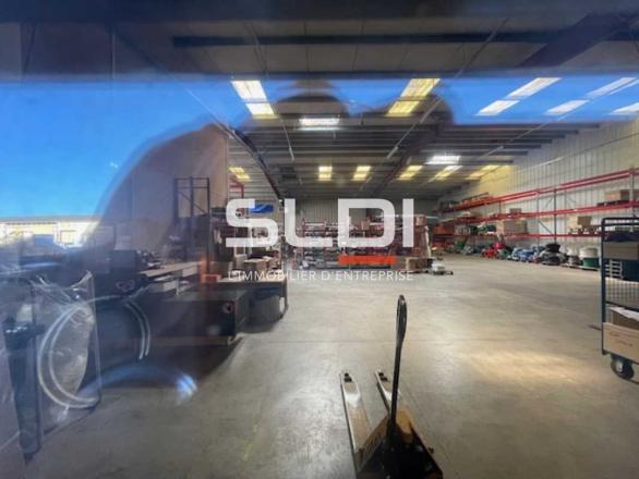 Activités A LOUER - BEYNOST - 260 m²