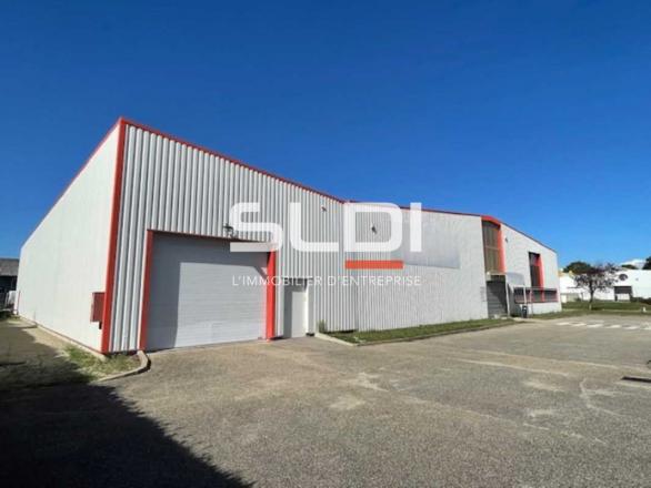 Activités A LOUER - BEYNOST - 260 m²