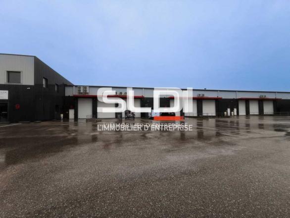 Activités A LOUER - SAINT QUENTIN FALLAVIER - 226 m²