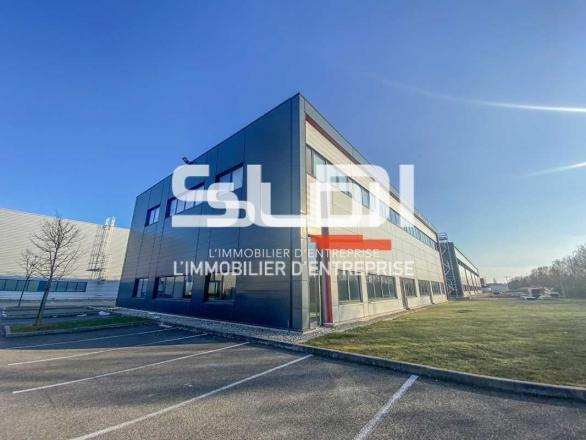 Bureaux A LOUER - MEYZIEU - 242 m²