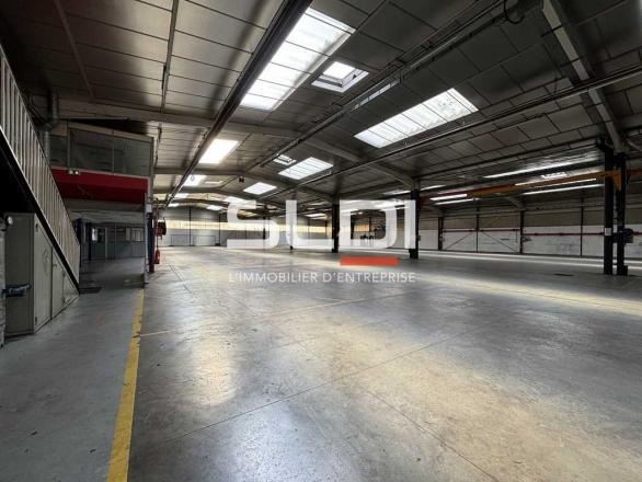 Activités A LOUER - CHAPONOST - 5 262 m²