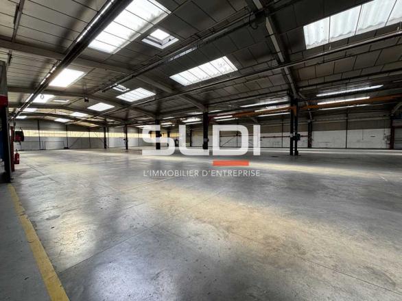 Activités A LOUER - CHAPONOST - 5 262 m²